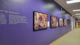 Ashley Gibson Barnett Museum of Art photo 1