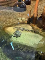 Orlando Science Center preview 1