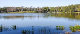 Lake Seminole Park in Seminole, FL park photo