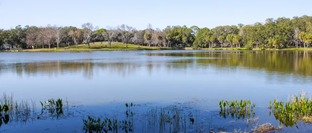 Lake Seminole Park