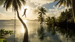 Ocean Paradise movie photo 2