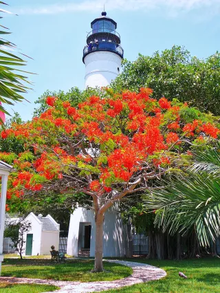 Key West Lighthouse in Key West, FL attraction photo