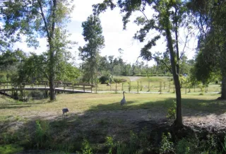 UCF Arboretum in Orlando, FL attraction photo