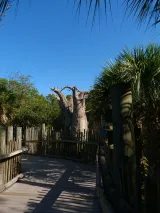 Brevard Zoo preview 2