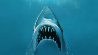 Jaws movie photo 6