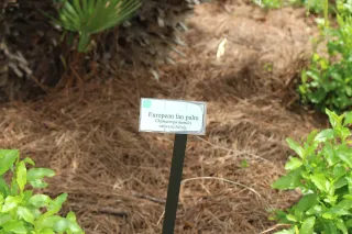 Jacksonville Zoo and Gardens photo 1