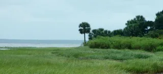 St. Marks National Wildlife Refuge in St. Marks, FL attraction photo