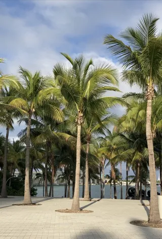 Perez Art Museum Miami photo 1