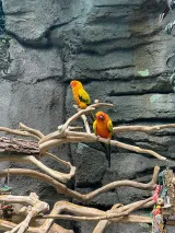 Orlando Science Center preview 2