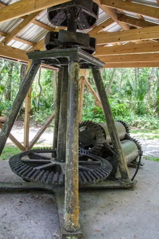 Sugar Mill Botanical Gardens in Port Orange, FL park photo