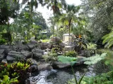 Busch Gardens Tampa Bay preview 2