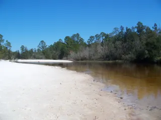 Blackwater River State Park in Crestview, FL park photo