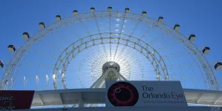 The Wheel at ICON Park photo 1