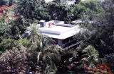 Ernest Hemingway Home and Museum preview 2