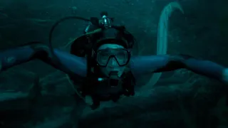 Whalefall movie photo 5