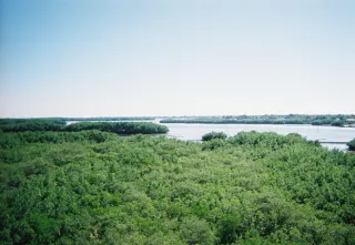 Weedon Island State Preserve in Pinellas Park, FL park photo
