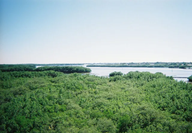 Weedon Island State Preserve