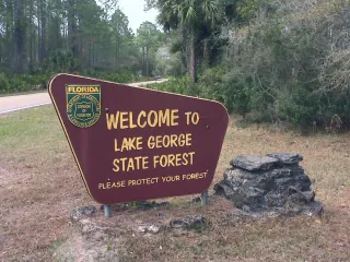 Lake George State Forest in Daytona Beach, FL park photo