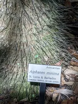 Fairchild Tropical Botanic Garden preview 1