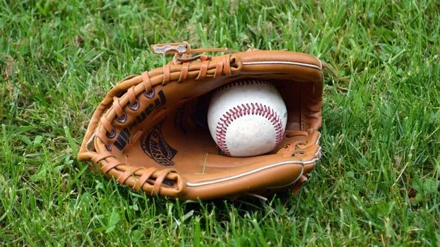 Dunedin Blue Jays vs. Daytona Tortugas