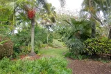 Mounts Botanical Garden preview 4