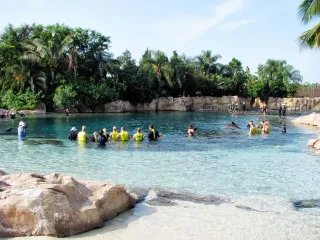Discovery Cove photo 1
