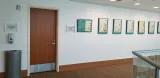 Tampa Bay History Center preview 3
