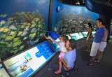 Florida Keys Eco-Discovery Center preview 2