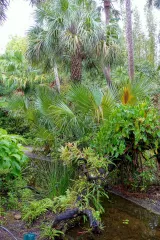 McKee Botanical Garden preview 4