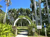 Palma Sola Botanical Park preview 4