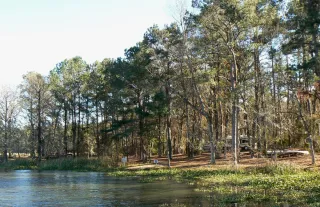 Three Rivers State Park in Marianna, FL park photo