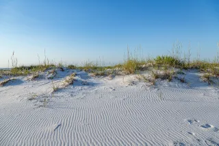 San Carlos Beach in Pensacola Beach, FL beach photo
