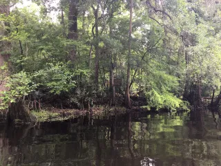 River Rise Preserve State Park in Lake City, FL park photo