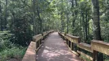 Eden Gardens State Park preview 1