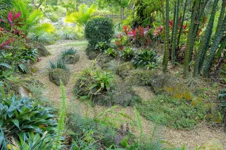 Mounts Botanical Garden photo 1