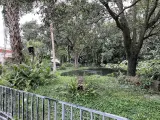 Busch Gardens Tampa Bay preview 3