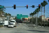 Florida Aquarium preview 1