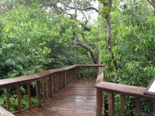 Gumbo Limbo Nature Center in Boca Raton, FL attraction photo