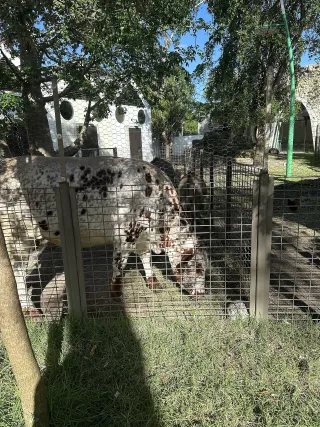 Pinecrest Gardens photo 1