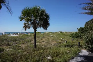 Indian Rocks Beach Nature Preserve in Indian Rocks Beach, FL park photo