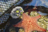 Key West Aquarium preview 4