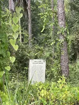 Calusa Nature Center and Planetarium preview 1