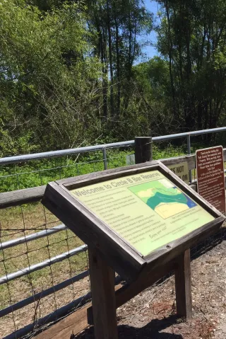 Circle B Bar Reserve in Lakeland, FL park photo