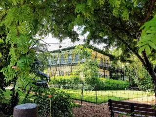 Ernest Hemingway Home and Museum photo 1