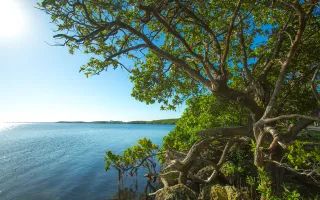 Homestead Bayfront Park in Homestead, FL park photo