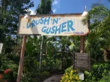 Disney's Typhoon Lagoon preview 2