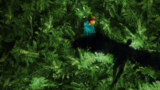 The Animal Kingdom movie photo 8