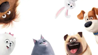 The Secret Life of Pets movie photo 10